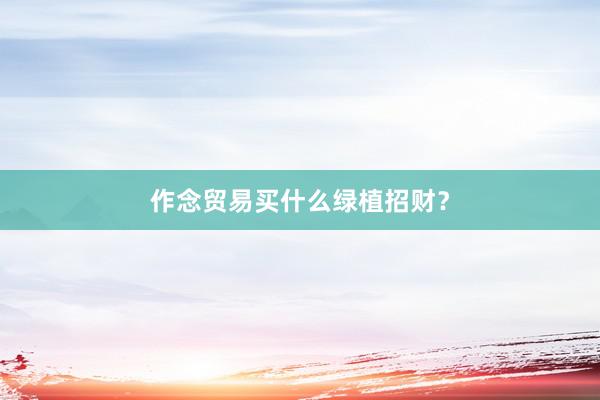 作念贸易买什么绿植招财？